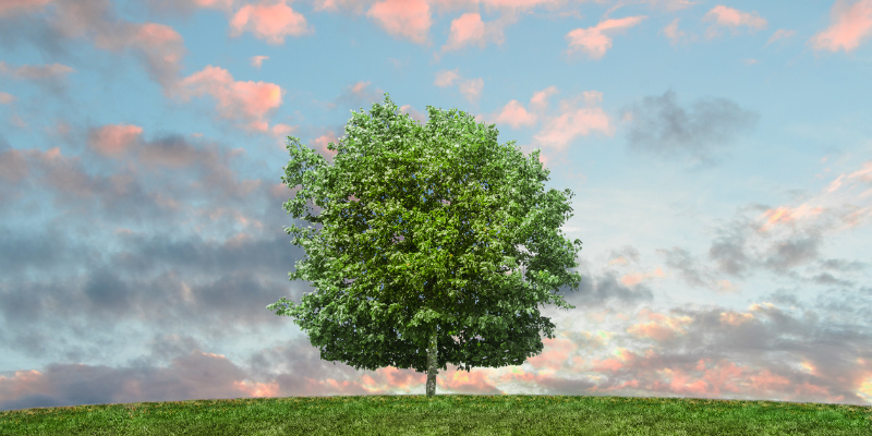 ISO、UNEA-7で新しい環境規格ダッシュボードを公開