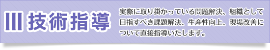 技術指導